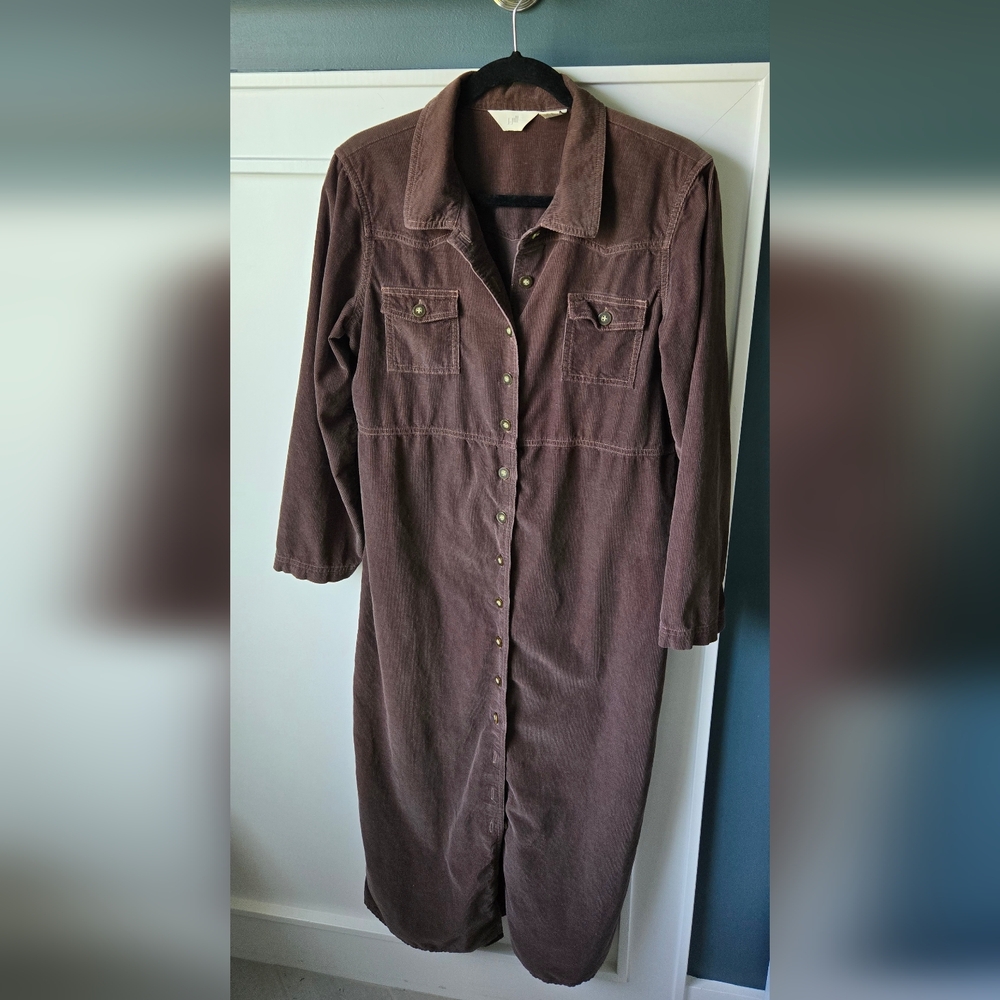 Elegant Brown Corduroy Dress